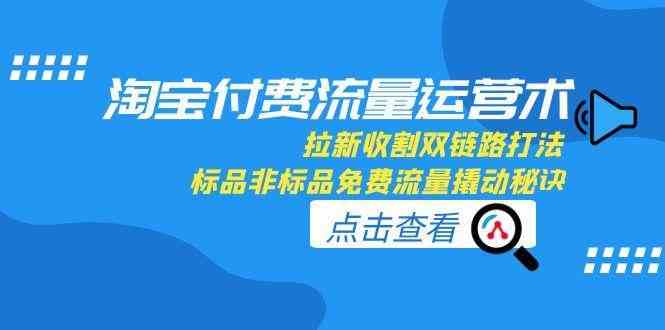 淘宝付费流量运营术，拉新收割双链路打法，标品非标品免费流量撬动秘诀网络赚钱,项目资源网,副业资源网,兼职项目,网赚课程-副业赚钱-互联网创业-独家轻创IP大圣网创