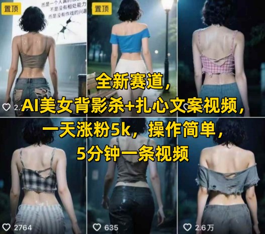 全新赛道，AI美女背影杀+扎心文案视频，一天涨粉5k，操作简单，5分钟一条视频网络赚钱,项目资源网,副业资源网,兼职项目,网赚课程-副业赚钱-互联网创业-独家轻创IP大圣网创