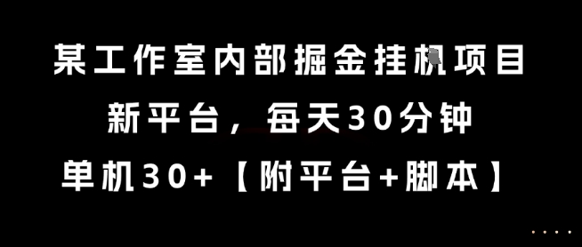 某工作室内部掘金挂G项目，新平台，每天30分钟，单机30+【揭秘】网络赚钱,项目资源网,副业资源网,兼职项目,网赚课程-副业赚钱-互联网创业-独家轻创IP大圣网创