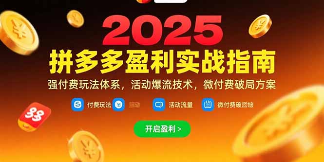 拼多多盈利实战指南，强付费玩法，活动爆流技术，微付费破局方案(更新7月网络赚钱,项目资源网,副业资源网,兼职项目,网赚课程-副业赚钱-互联网创业-独家轻创IP大圣网创