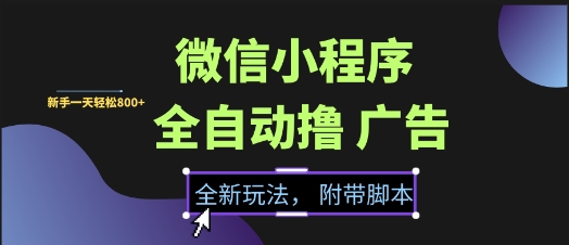 微信小程序全自动撸广告项目，彻底解决没流量的问题，新手一天8张+【揭秘】网络赚钱,项目资源网,副业资源网,兼职项目,网赚课程-副业赚钱-互联网创业-独家轻创IP大圣网创