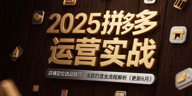 （15235期）2025拼多多运营实战：店铺定位选品技巧，爆款打造全流程解析（更新6月）网络赚钱,项目资源网,副业资源网,兼职项目,网赚课程-副业赚钱-互联网创业-独家轻创IP大圣网创