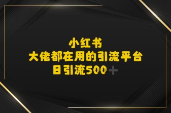 小红书，大佬都在用的大粉平台，日引流500+网络赚钱,项目资源网,副业资源网,兼职项目,网赚课程-副业赚钱-互联网创业-独家轻创IP大圣网创