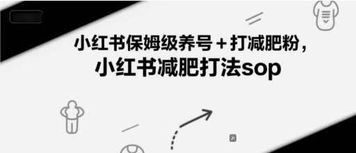 小红书保姆级养号+打减肥粉，小红书减肥打法sop网络赚钱,项目资源网,副业资源网,兼职项目,网赚课程-副业赚钱-互联网创业-独家轻创IP大圣网创