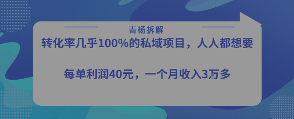 转化率最高的私域项目，每单利润40-50米，月入过1w网络赚钱,项目资源网,副业资源网,兼职项目,网赚课程-副业赚钱-互联网创业-独家轻创IP大圣网创