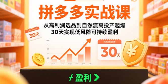 拼多多实战课：从高利润选品到自然流高投产起爆 30天实现低风险可持续盈利网络赚钱,项目资源网,副业资源网,兼职项目,网赚课程-副业赚钱-互联网创业-独家轻创IP大圣网创