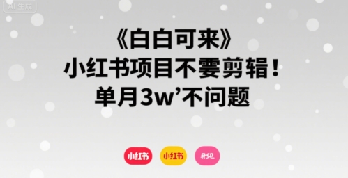小白可来 小红书项目不需要剪辑 单月3w不是问题网络赚钱,项目资源网,副业资源网,兼职项目,网赚课程-副业赚钱-互联网创业-独家轻创IP大圣网创