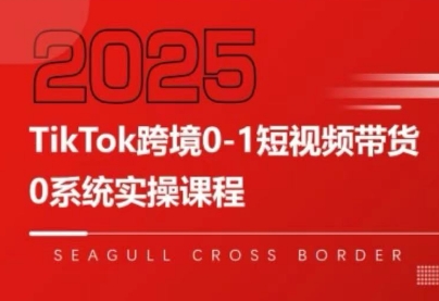 大亿老师·TikTok跨境0-1短视频带货网络赚钱,项目资源网,副业资源网,兼职项目,网赚课程-副业赚钱-互联网创业-独家轻创IP大圣网创