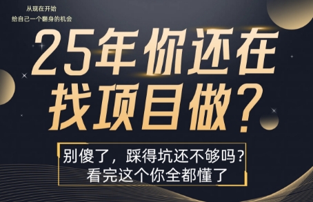 25年，你还在疯狂的找项目吗？别傻了，看完这个你都懂了【揭秘】网络赚钱,项目资源网,副业资源网,兼职项目,网赚课程-副业赚钱-互联网创业-独家轻创IP大圣网创
