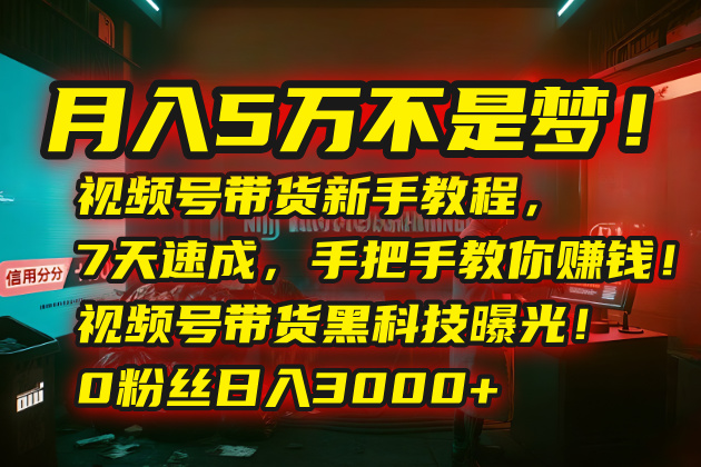 月入5万不是梦！视频号带货新手教程，7天速成，手把手教你赚钱！视频号…网络赚钱,项目资源网,副业资源网,兼职项目,网赚课程-副业赚钱-互联网创业-独家轻创IP大圣网创