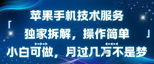 苹果手机技术服务，独家拆解，操作简单，小白可做，月过1W不是梦网络赚钱,项目资源网,副业资源网,兼职项目,网赚课程-副业赚钱-互联网创业-独家轻创IP大圣网创