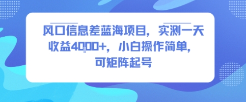 风口信息差蓝海项目，实测一天收益4k+，小白操作简单，可矩阵起号网络赚钱,项目资源网,副业资源网,兼职项目,网赚课程-副业赚钱-互联网创业-独家轻创IP大圣网创