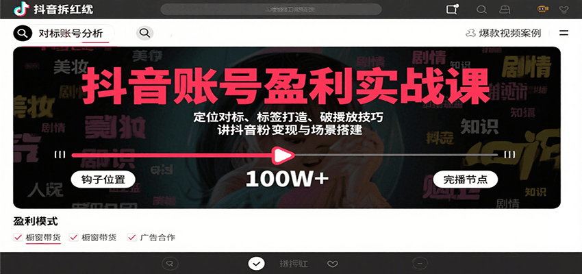 抖音账号盈利实战课，定位对标、标签打造、破播放技巧，讲涨粉变现与场景搭建网络赚钱,项目资源网,副业资源网,兼职项目,网赚课程-副业赚钱-互联网创业-独家轻创IP大圣网创