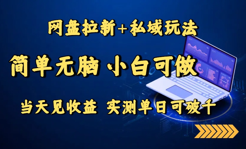 网盘拉新+私域玩法，简单无脑，小白可做，当天见收益，实测单日可破千网络赚钱,项目资源网,副业资源网,兼职项目,网赚课程-副业赚钱-互联网创业-独家轻创IP大圣网创
