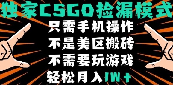 CSGO自动捡漏项目，最新独家玩法，不是美区搬砖，不需要了解和玩游戏，新手小白轻松月入1W+【揭秘】网络赚钱,项目资源网,副业资源网,兼职项目,网赚课程-副业赚钱-互联网创业-独家轻创IP大圣网创