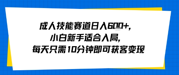 成人技能赛道日入多张，小白新手适合入局，每天只需10分钟即可获客变现网络赚钱,项目资源网,副业资源网,兼职项目,网赚课程-副业赚钱-互联网创业-独家轻创IP大圣网创