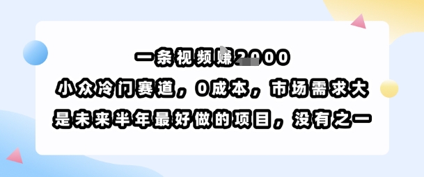 一条视频挣1k，小众冷门赛道，0成本，市场需求大，是未来半年最好做的项目，没有之一网络赚钱,项目资源网,副业资源网,兼职项目,网赚课程-副业赚钱-互联网创业-独家轻创IP大圣网创
