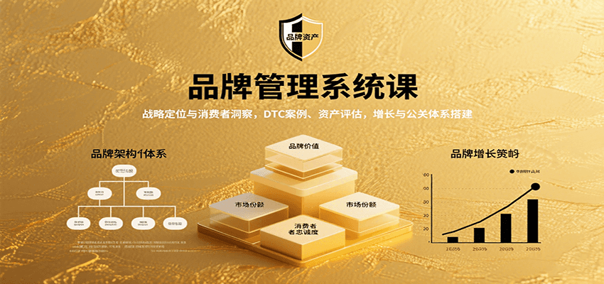 品牌管理系统课：战略定位与消费者洞察，DTC案例、资产评估，增长与公关体系搭建网络赚钱,项目资源网,副业资源网,兼职项目,网赚课程-副业赚钱-互联网创业-独家轻创IP大圣网创