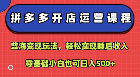 拼多多开店运营课程：蓝海变现玩法，轻松实现睡后收入，零基础小白也可日入5张网络赚钱,项目资源网,副业资源网,兼职项目,网赚课程-副业赚钱-互联网创业-独家轻创IP大圣网创