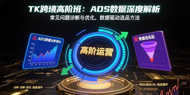 TK跨境高阶班：ADS数据深度解析，常见问题诊断与优化，数据驱动选品方法网络赚钱,项目资源网,副业资源网,兼职项目,网赚课程-副业赚钱-互联网创业-独家轻创IP大圣网创