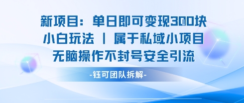 新项目单日即可变现3张的小白玩法无脑操作不封号安全引流网络赚钱,项目资源网,副业资源网,兼职项目,网赚课程-副业赚钱-互联网创业-独家轻创IP大圣网创