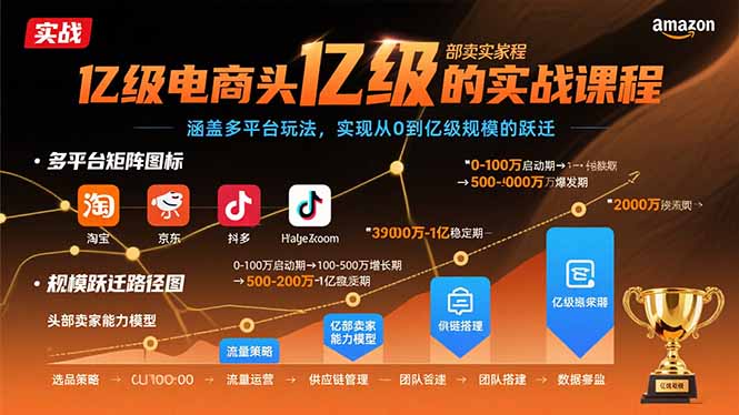 亿级电商头部卖家的实战课程：涵盖多平台玩法，实现从0到亿级规模的跃迁网络赚钱,项目资源网,副业资源网,兼职项目,网赚课程-副业赚钱-互联网创业-独家轻创IP大圣网创