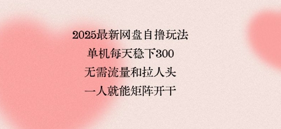 2025最新网盘自撸玩法，单机每天稳下3张，无需流量和拉人头，一个人就可轻松矩阵，全网独一份【揭秘】网络赚钱,项目资源网,副业资源网,兼职项目,网赚课程-副业赚钱-互联网创业-独家轻创IP大圣网创