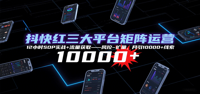 抖快红三大平台矩阵运营，12小时SOP实战+流量获取-风控-扩量，月引10000+线索网络赚钱,项目资源网,副业资源网,兼职项目,网赚课程-副业赚钱-互联网创业-独家轻创IP大圣网创