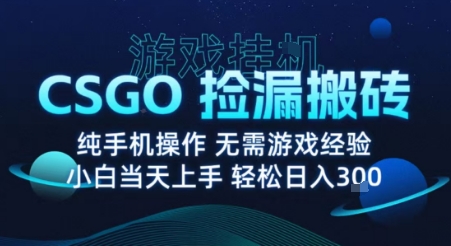 8月最新游戏搬砖，CSGO纯挂G，不需要玩游戏，实现真挂G，月入1W+【揭秘】网络赚钱,项目资源网,副业资源网,兼职项目,网赚课程-副业赚钱-互联网创业-独家轻创IP大圣网创