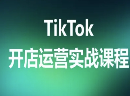 TikTok开店运营实战课程，TK跨境电商实操全流程网络赚钱,项目资源网,副业资源网,兼职项目,网赚课程-副业赚钱-互联网创业-独家轻创IP大圣网创