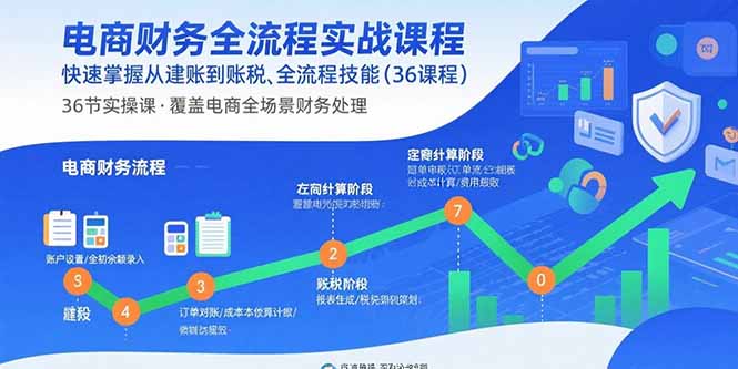 电商财务全流程实战课程：快速掌握从建账到报税的全流程技能(36节课网络赚钱,项目资源网,副业资源网,兼职项目,网赚课程-副业赚钱-互联网创业-独家轻创IP大圣网创