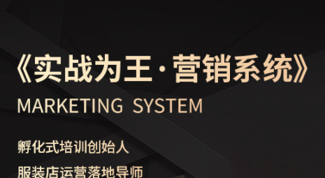 老杨·服装老板必修课《实战为王-营销系统》实现业绩被动式增长网络赚钱,项目资源网,副业资源网,兼职项目,网赚课程-副业赚钱-互联网创业-独家轻创IP大圣网创