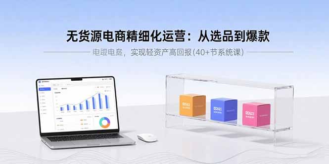 无货源电商精细化运营：从选品到爆款，实现轻资产高回报(40+节系统课网络赚钱,项目资源网,副业资源网,兼职项目,网赚课程-副业赚钱-互联网创业-独家轻创IP大圣网创