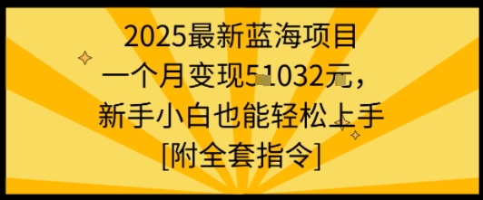 2025最新蓝海项目一个月变现1w+新手小白也能轻松上手【附全套指令】网络赚钱,项目资源网,副业资源网,兼职项目,网赚课程-副业赚钱-互联网创业-独家轻创IP大圣网创