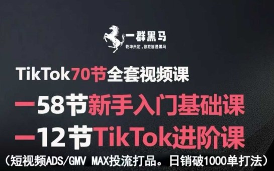 TikTok全套视频课，新手入门+进阶课，短视频ADS-GMV MAX投流打品，日销破1000单打法网络赚钱,项目资源网,副业资源网,兼职项目,网赚课程-副业赚钱-互联网创业-独家轻创IP大圣网创