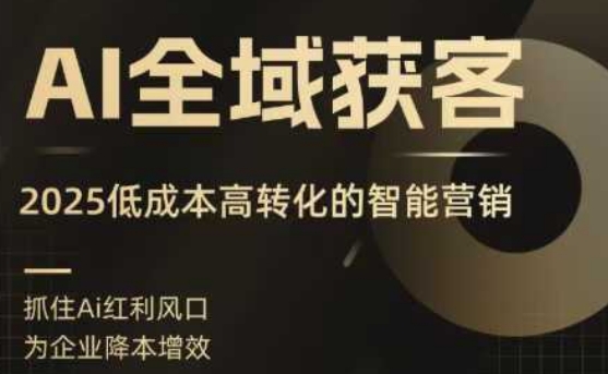 AI全域获客实训营，2025低成本高转化的智能营销，精准找客，高效营销网络赚钱,项目资源网,副业资源网,兼职项目,网赚课程-副业赚钱-互联网创业-独家轻创IP大圣网创