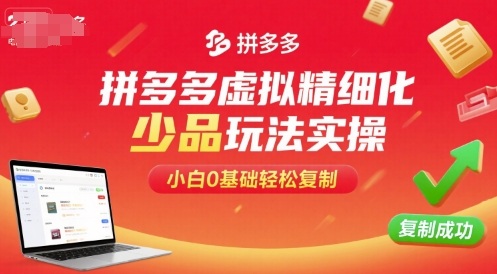 拼多多虚拟精细化少品玩法实操，小白0基础轻松复制网络赚钱,项目资源网,副业资源网,兼职项目,网赚课程-副业赚钱-互联网创业-独家轻创IP大圣网创