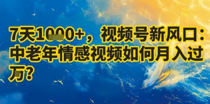 7天收益1k+，视频号新风口：中老年情感视频如何月入过W?网络赚钱,项目资源网,副业资源网,兼职项目,网赚课程-副业赚钱-互联网创业-独家轻创IP大圣网创