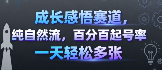 成长感悟赛道,纯自然流,百分百起号率 一天轻松多张网络赚钱,项目资源网,副业资源网,兼职项目,网赚课程-副业赚钱-互联网创业-独家轻创IP大圣网创