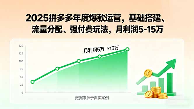 2025拼多多年度爆款运营，基础搭建、流量分配、强付费玩法，月利润5-15万网络赚钱,项目资源网,副业资源网,兼职项目,网赚课程-副业赚钱-互联网创业-独家轻创IP大圣网创