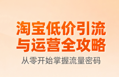 淘宝低价引流与运营全攻略(更新9月)网络赚钱,项目资源网,副业资源网,兼职项目,网赚课程-副业赚钱-互联网创业-独家轻创IP大圣网创