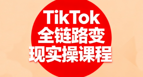 小杨老师·TikTok全链路变现实操课程网络赚钱,项目资源网,副业资源网,兼职项目,网赚课程-副业赚钱-互联网创业-独家轻创IP大圣网创