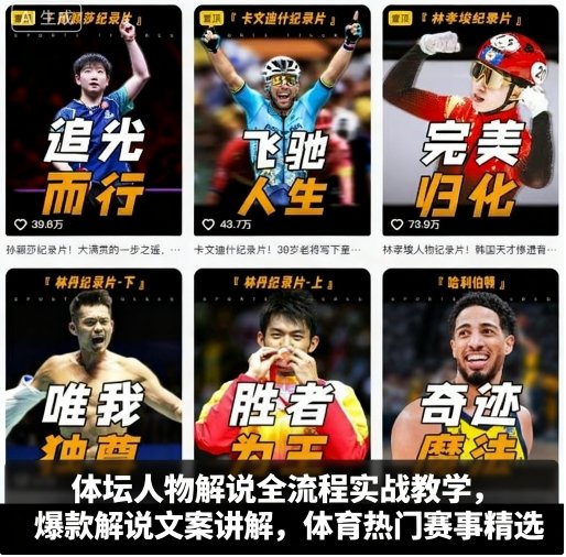 体坛人物解说全流程实战教学,爆款解说文案讲解,体育热门赛事精选网络赚钱,项目资源网,副业资源网,兼职项目,网赚课程-副业赚钱-互联网创业-独家轻创IP大圣网创