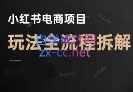 菲菲老师·小红书电商玩法(更新9月)网络赚钱,项目资源网,副业资源网,兼职项目,网赚课程-副业赚钱-互联网创业-独家轻创IP大圣网创