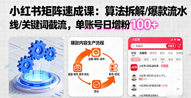 小红书矩阵起号速成课:算法拆解/爆款流水线/关键词截流 单账号日增粉100+网络赚钱,项目资源网,副业资源网,兼职项目,网赚课程-副业赚钱-互联网创业-独家轻创IP大圣网创