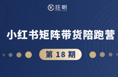 盗坤·抖音小红书视频号短视频带货与直播变现(11-18期)网络赚钱,项目资源网,副业资源网,兼职项目,网赚课程-副业赚钱-互联网创业-独家轻创IP大圣网创