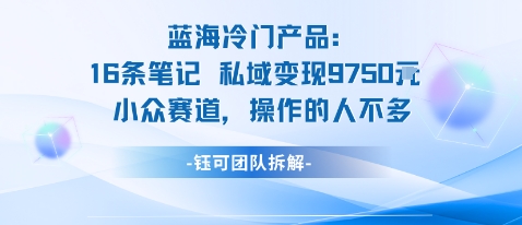 蓝海项目:16条笔记私域变现9750米小众赛道操作的人不多网络赚钱,项目资源网,副业资源网,兼职项目,网赚课程-副业赚钱-互联网创业-独家轻创IP大圣网创