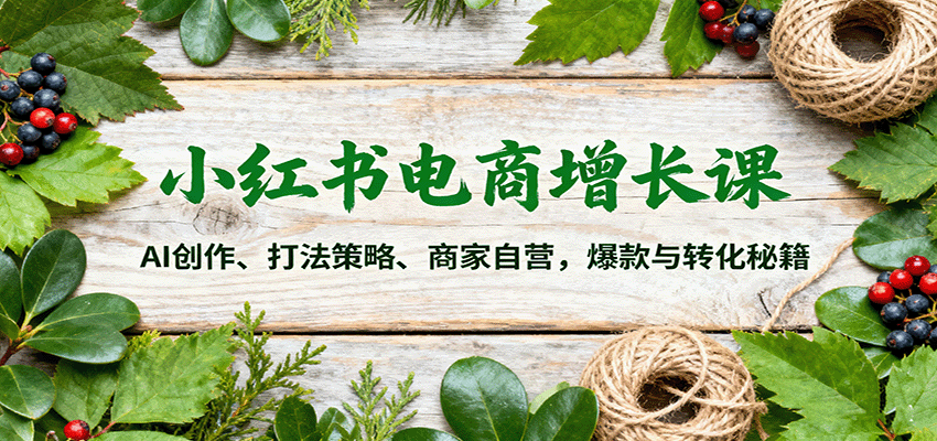 小红书电商增长课:AI创作、打法策略、商家自营,爆款与转化秘籍网络赚钱,项目资源网,副业资源网,兼职项目,网赚课程-副业赚钱-互联网创业-独家轻创IP大圣网创