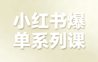 尼采老师·小红书爆单系列课网络赚钱,项目资源网,副业资源网,兼职项目,网赚课程-副业赚钱-互联网创业-独家轻创IP大圣网创