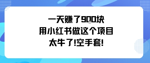 一天挣了9张用小红书做这个项目太牛了,空手套网络赚钱,项目资源网,副业资源网,兼职项目,网赚课程-副业赚钱-互联网创业-独家轻创IP大圣网创